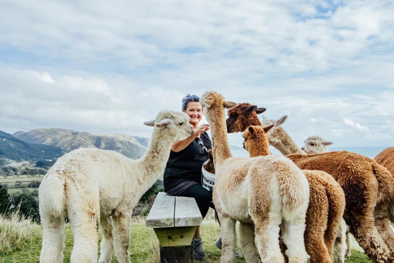 Luxury Stay, Alpaca Farm Парапарауму Екстер'єр фото